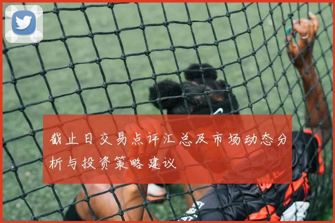 截止日交易点评汇总及市场动态分析与投资策略建议