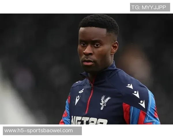 格伊谈水晶宫效力经历强调专业态度是对俱乐部的尊重