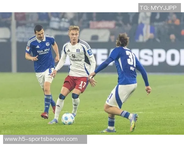 顶级俱乐部纷纷关注汉堡中卫武什科维奇拜仁在列